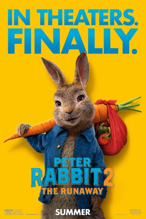 peter-rabbit-2-the-mic-rankings mejor-pelicula-de-margot-robbie-the-mic-rankings